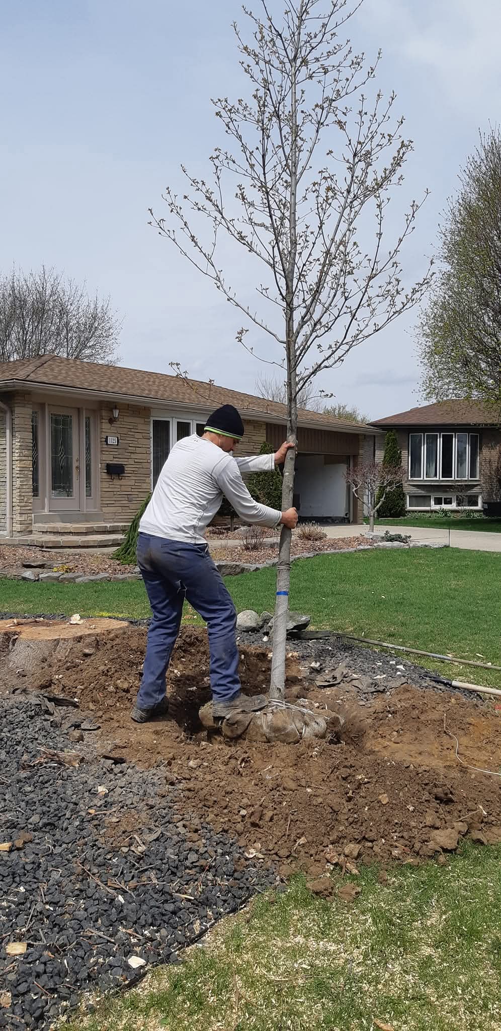 Tree Planting