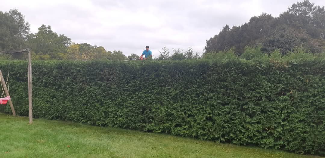 Hedge Trimming